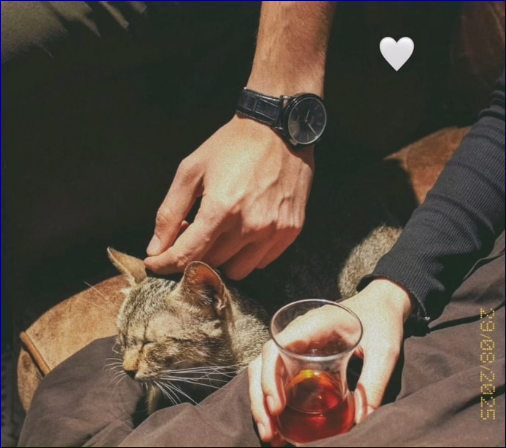 رواية جرح فتى كاملة