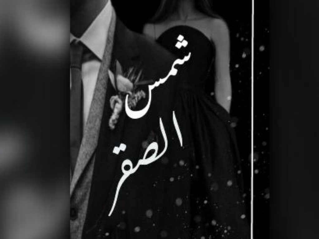 رواية صقر وشمس